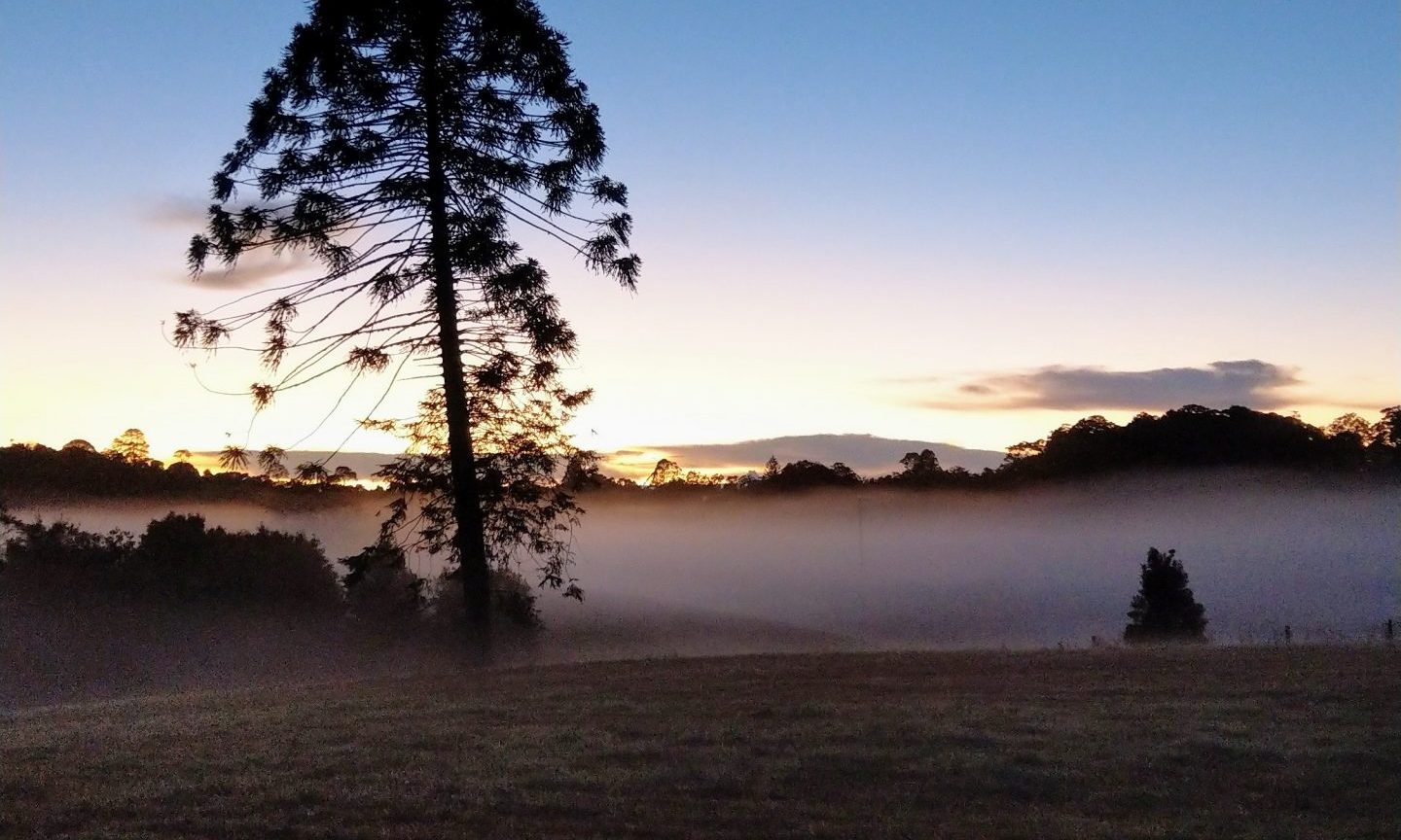 maleny photos website 5